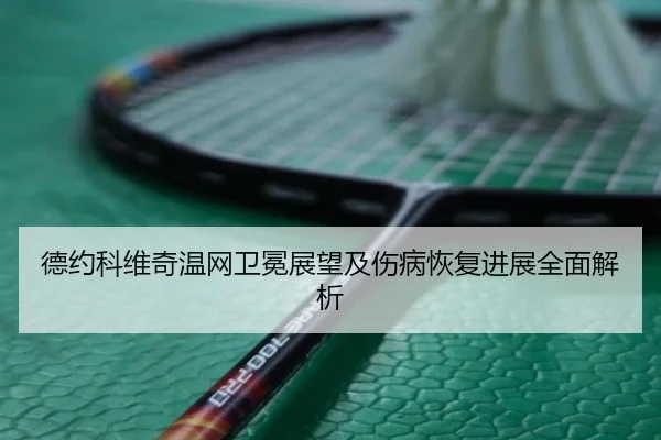 德约科维奇温网卫冕展望及伤病恢复进展全面解析（Yihao）